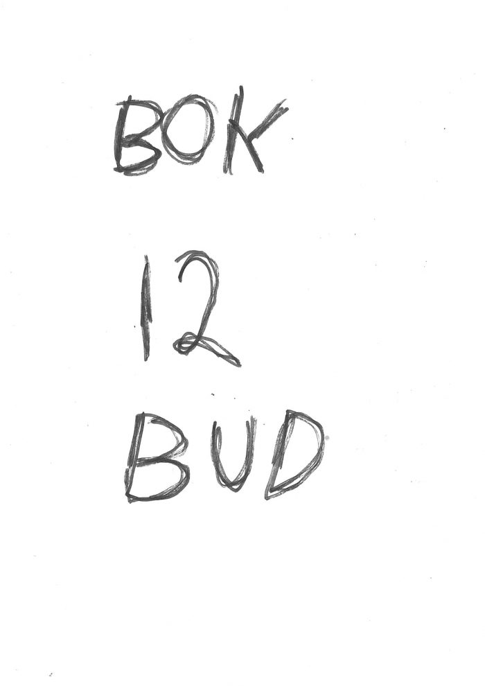 Trond Worrens bok "12 Bud"